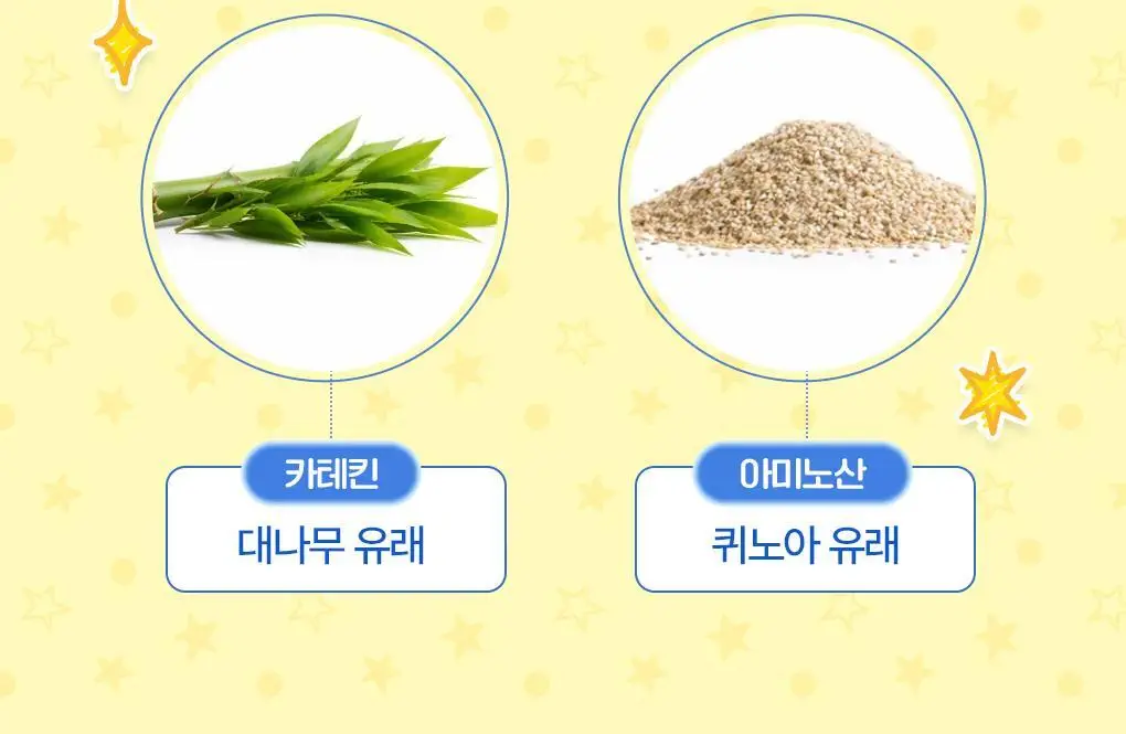 [포켓몬 에디션/5월올영픽]식물나라 시원한 산뜻 데오 바디 스프레이 100ml 기획 (+60ml 증정) 상세페이지 18